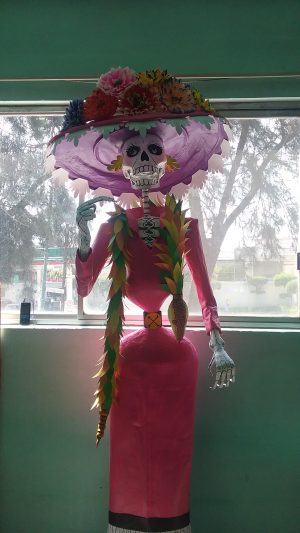 Calavera Catrina Rosa