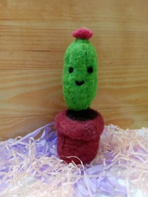 Lindo Cactus De Lana