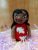 Muñeca De Lilo